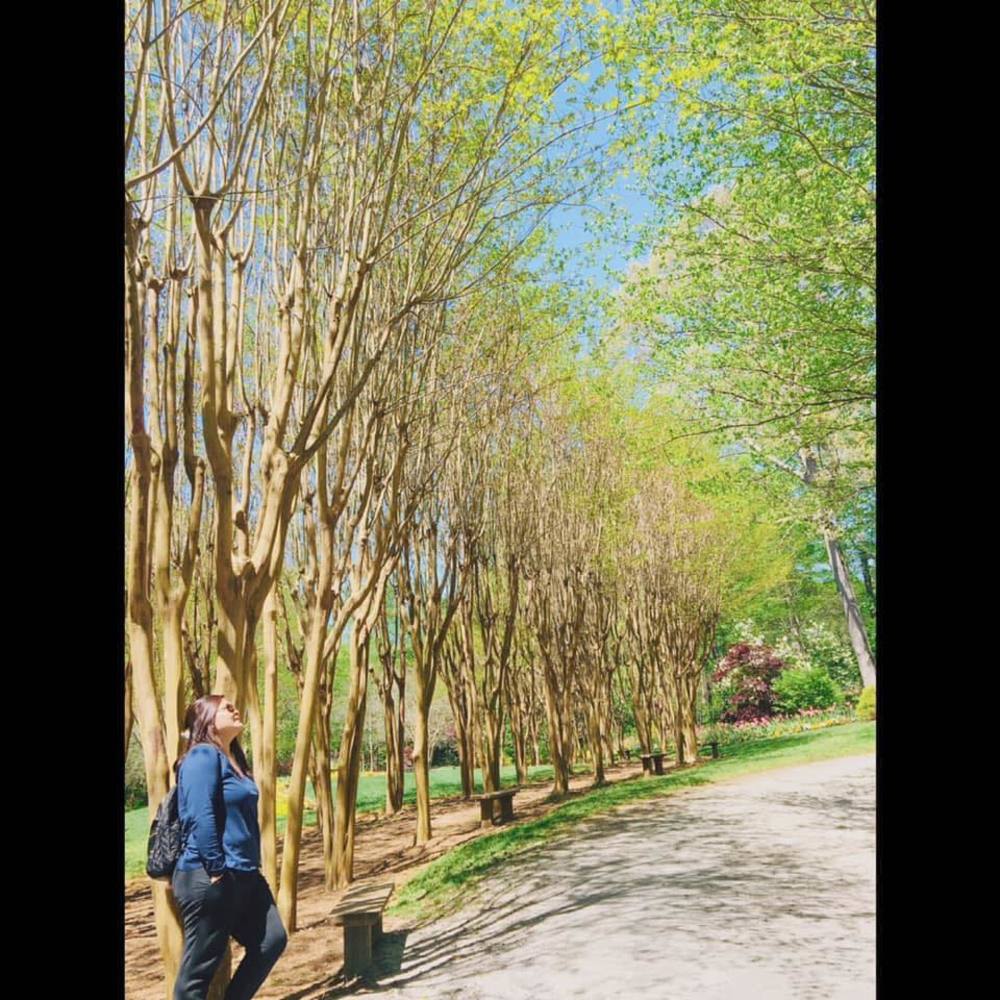 Meet your Posher, Mäinë